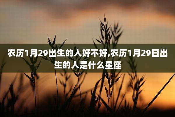 农历1月29出生的人好不好,农历1月29日出生的人是什么星座