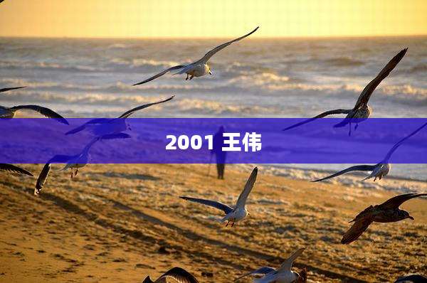 2001 王伟