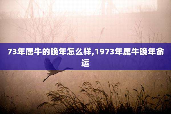 73年属牛的晚年怎么样,1973年属牛晚年命运