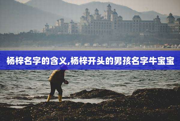 杨梓名字的含义,杨梓开头的男孩名字牛宝宝