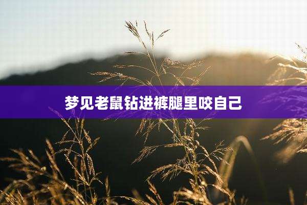 梦见老鼠钻进裤腿里咬自己