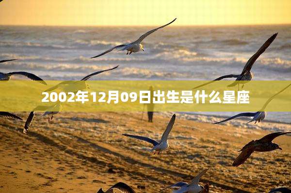 2002年12月09日出生是什么星座