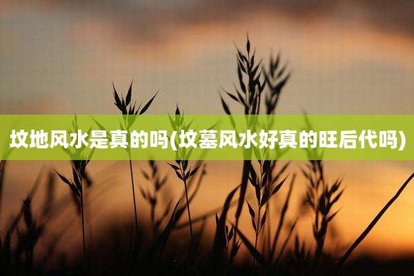坟地风水是真的吗(坟墓风水好真的旺后代吗)