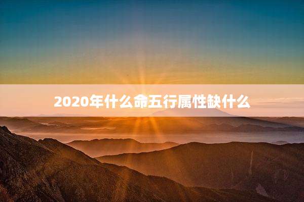 2020年什么命五行属性缺什么