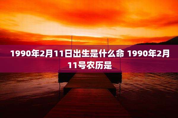 1990年2月11日出生是什么命 1990年2月11号农历是