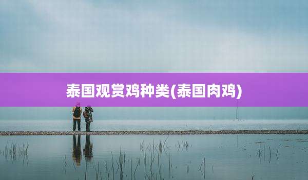 泰国观赏鸡种类(泰国肉鸡)
