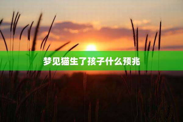 梦见猫生了孩子什么预兆