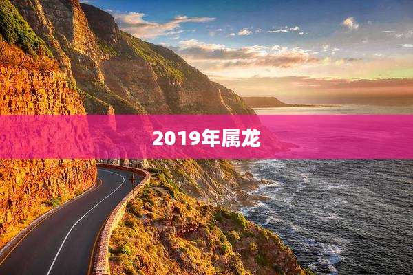 2019年属龙