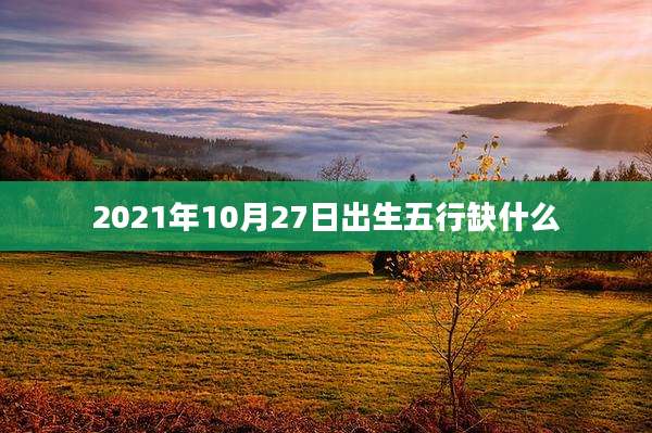 2021年10月27日出生五行缺什么