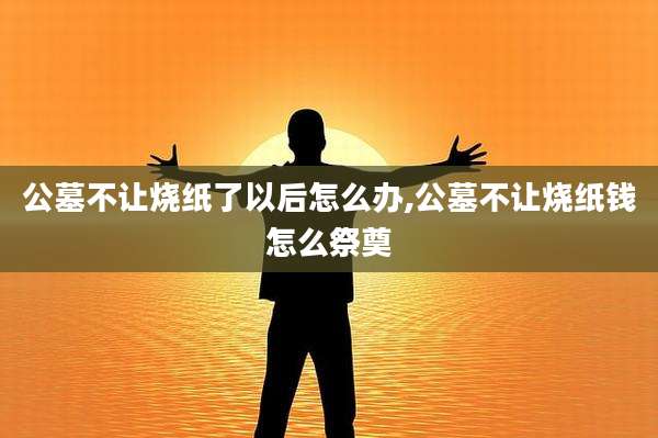 公墓不让烧纸了以后怎么办,公墓不让烧纸钱怎么祭奠
