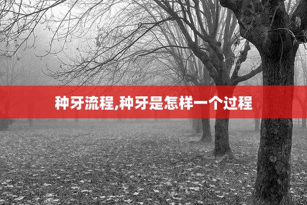 种牙流程,种牙是怎样一个过程
