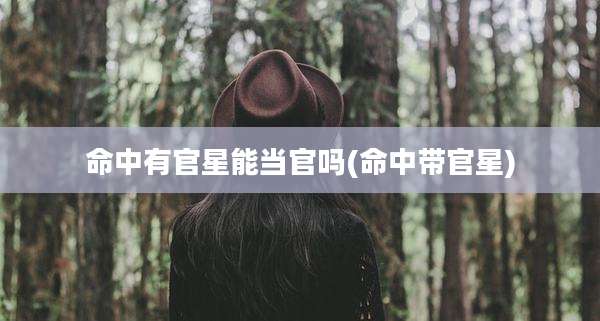 命中有官星能当官吗(命中带官星)