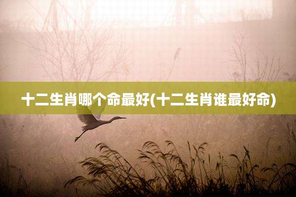 十二生肖哪个命最好(十二生肖谁最好命)
