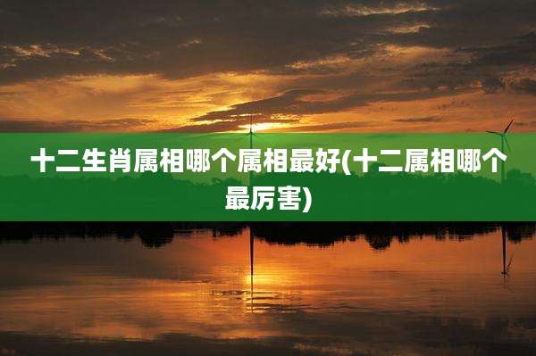 十二生肖属相哪个属相最好(十二属相哪个最厉害)