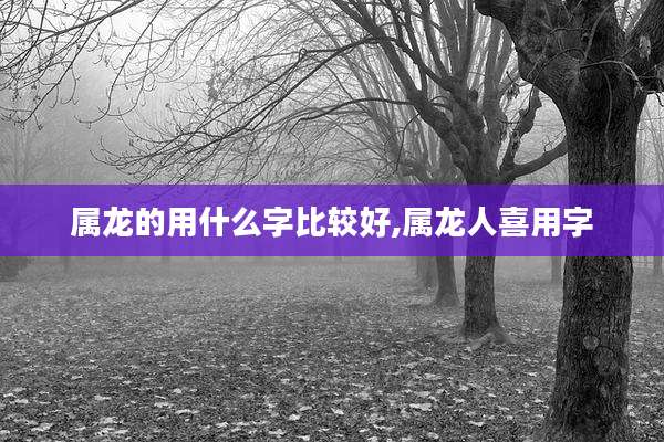 属龙的用什么字比较好,属龙人喜用字