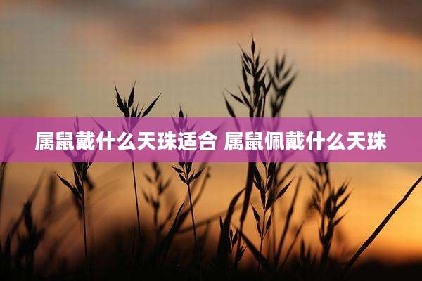 属鼠戴什么天珠适合 属鼠佩戴什么天珠