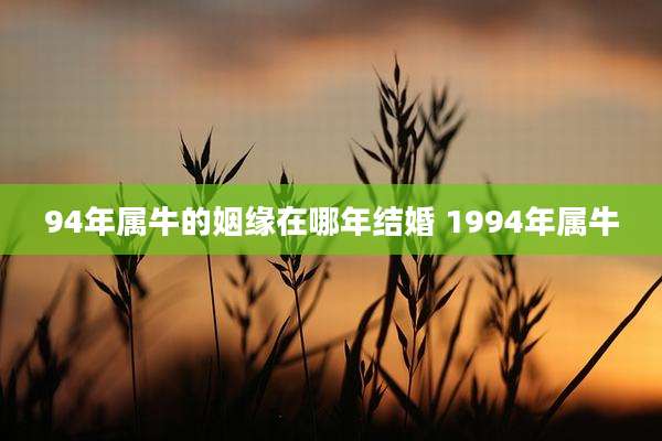 94年属牛的姻缘在哪年结婚 1994年属牛