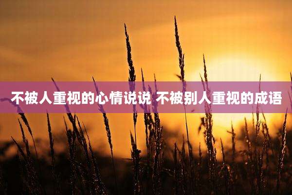 不被人重视的心情说说 不被别人重视的成语