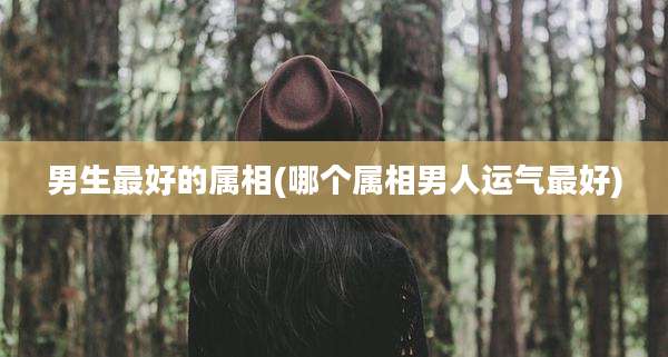 男生最好的属相(哪个属相男人运气最好)