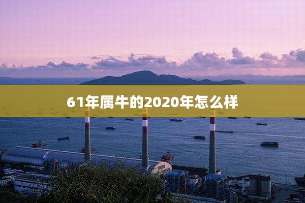 61年属牛的2020年怎么样