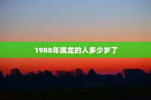 1988年属龙的人多少岁了