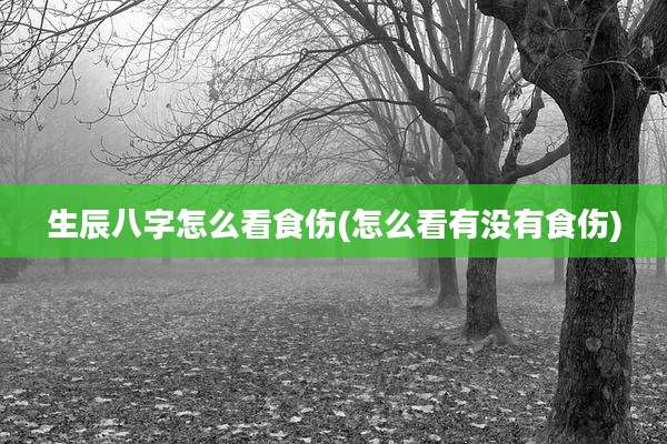 生辰八字怎么看食伤(怎么看有没有食伤)