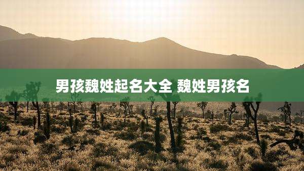 男孩魏姓起名大全 魏姓男孩名