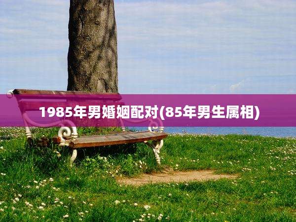 1985年男婚姻配对(85年男生属相)