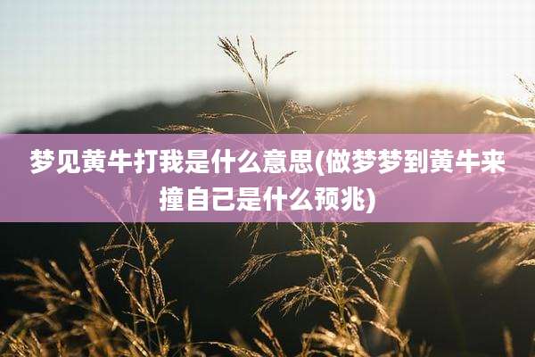 梦见黄牛打我是什么意思(做梦梦到黄牛来撞自己是什么预兆)