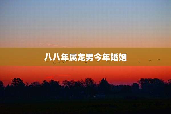 八八年属龙男今年婚姻