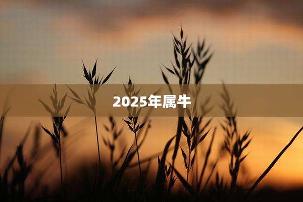 2025年属牛