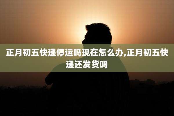 正月初五快递停运吗现在怎么办,正月初五快递还发货吗