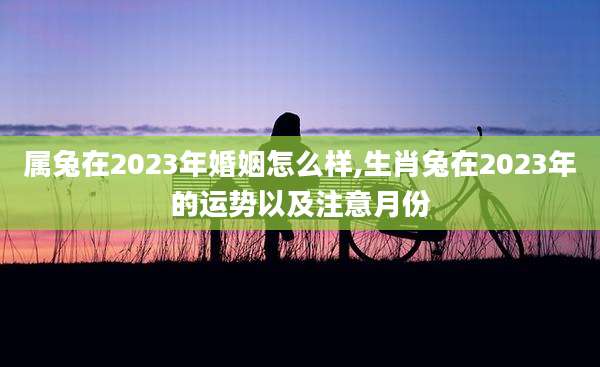 属兔在2023年婚姻怎么样,生肖兔在2023年的运势以及注意月份