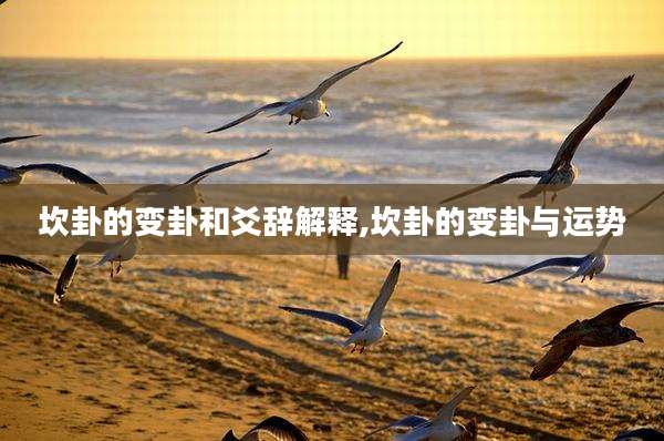 坎卦的变卦和爻辞解释,坎卦的变卦与运势
