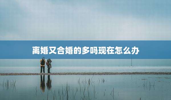 离婚又合婚的多吗现在怎么办