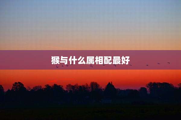 猴与什么属相配最好