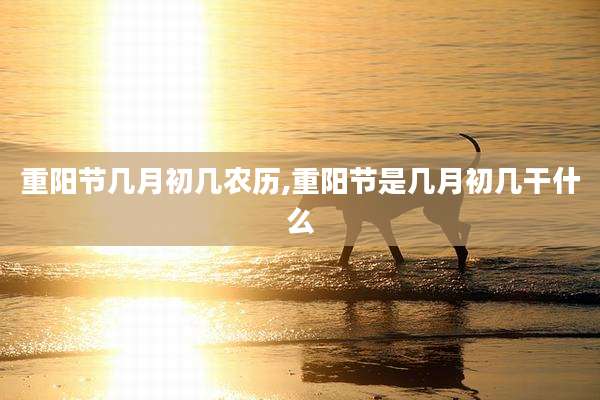 重阳节几月初几农历,重阳节是几月初几干什么
