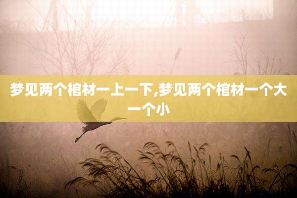 梦见两个棺材一上一下,梦见两个棺材一个大一个小