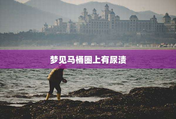 梦见马桶圈上有尿渍