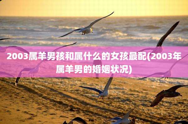 2003属羊男孩和属什么的女孩最配(2003年属羊男的婚姻状况)