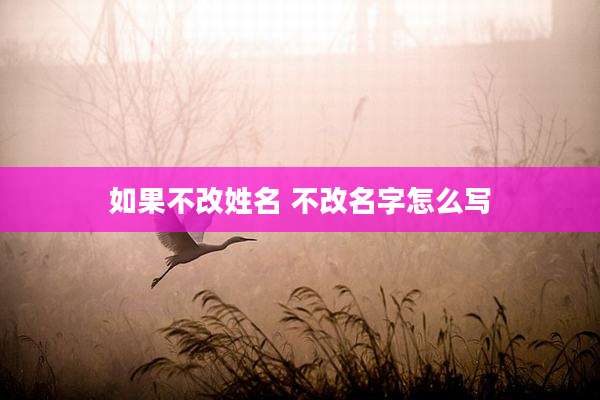 如果不改姓名 不改名字怎么写