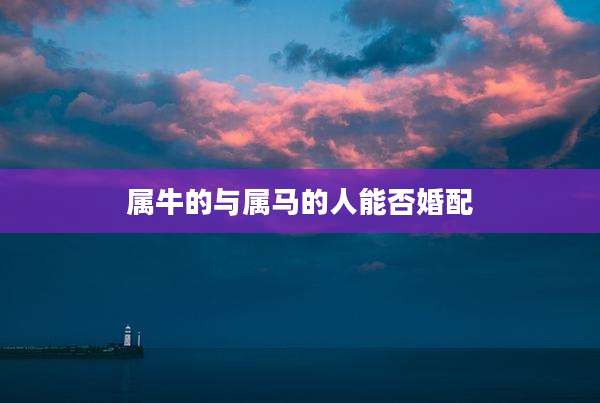 属牛的与属马的人能否婚配