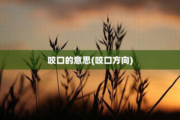 咬口的意思(咬口方向)