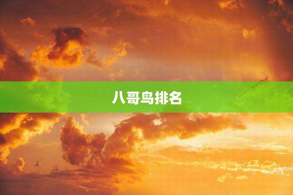八哥鸟排名