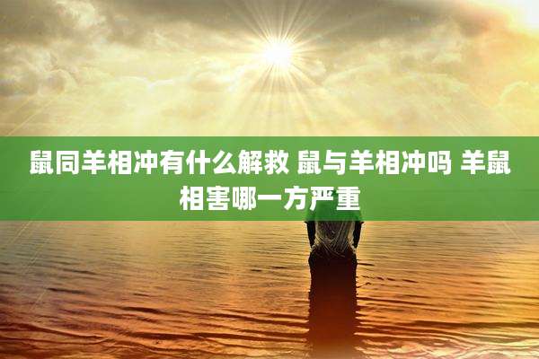 鼠同羊相冲有什么解救 鼠与羊相冲吗 羊鼠相害哪一方严重