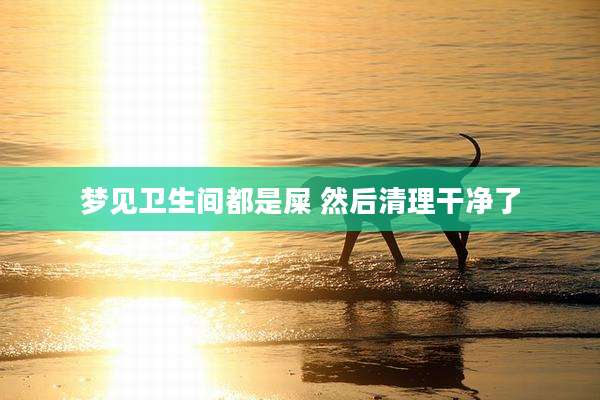 梦见卫生间都是屎 然后清理干净了