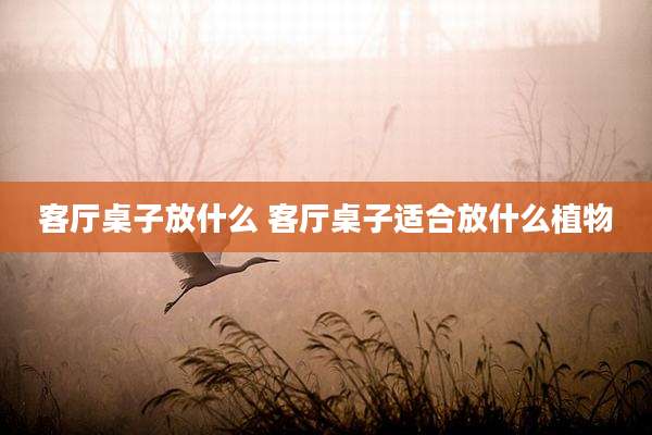 客厅桌子放什么 客厅桌子适合放什么植物