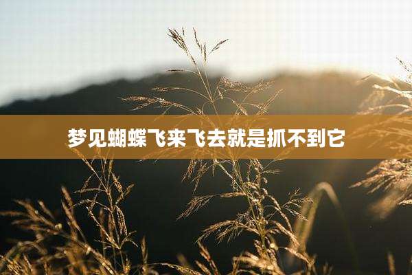 梦见蝴蝶飞来飞去就是抓不到它