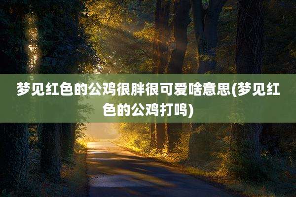 梦见红色的公鸡很胖很可爱啥意思(梦见红色的公鸡打鸣)