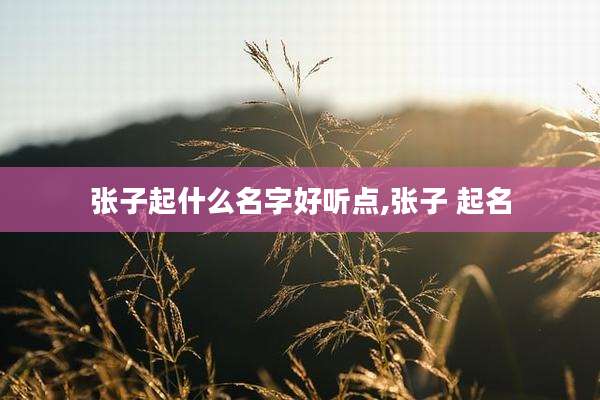 张子起什么名字好听点,张子 起名